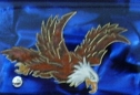 aquila